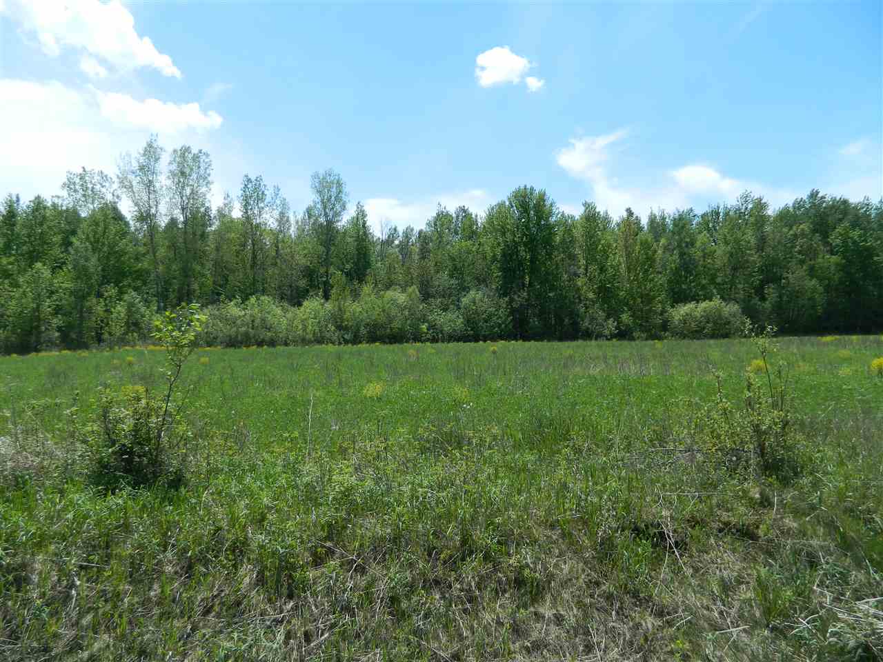 0 West Mt Forest Road Pinconning, MI 48650 - Photo 4 of 11