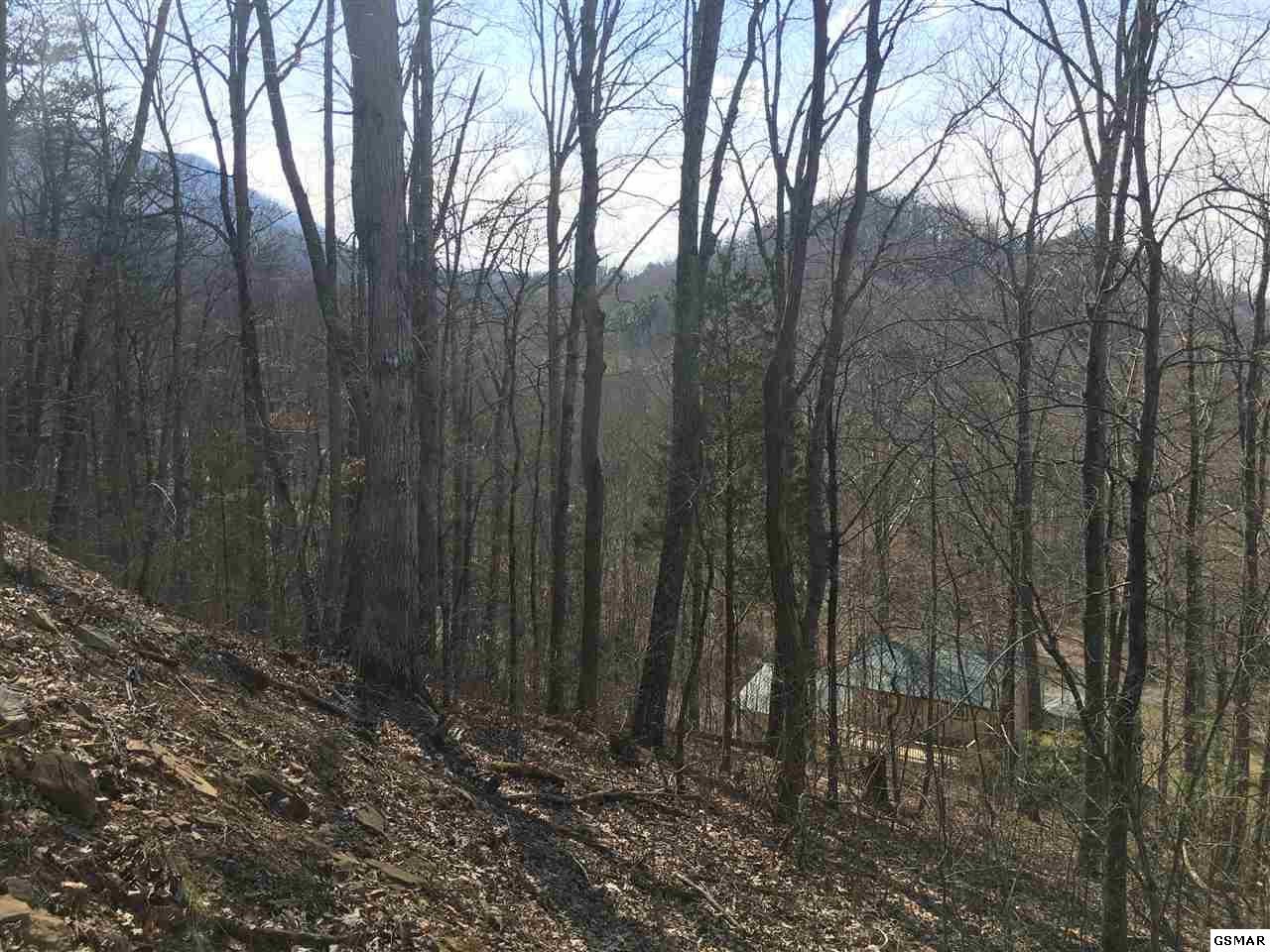 867 Haney Road Sevierville, TN 37876 - Photo 34 of 34 Gallery Image 34
