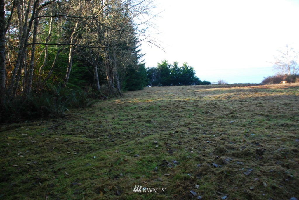 522 McMinn Road Port Townsend, WA 98368 - Photo 6 of 7 Gallery Image 6