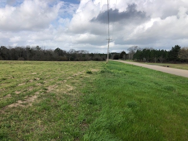 18.2-ac County Line Loop Opp, AL 36467 - Photo 7 of 7 Gallery Image 7