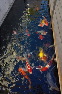 a view of a patio with table and chairs and potted plants