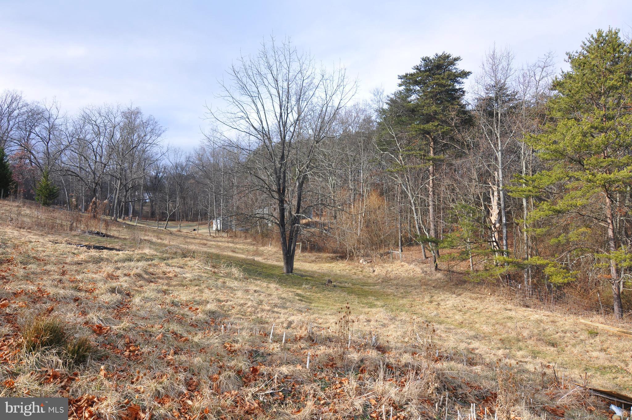 260 Redland Road Cross Junction, VA 22625 - Photo 2 of 30 View of rear field and woods
