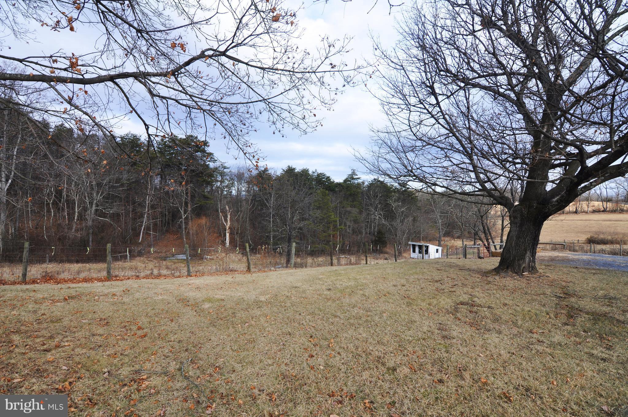 260 Redland Road Cross Junction, VA 22625 - Photo 4 of 30 Back yard