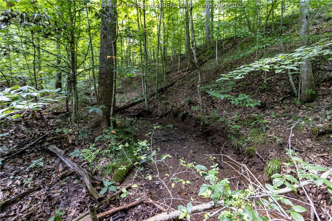 0 Hidden Farms Road Poca, WV 25159 - Photo 16 of 27 Gallery Image 16