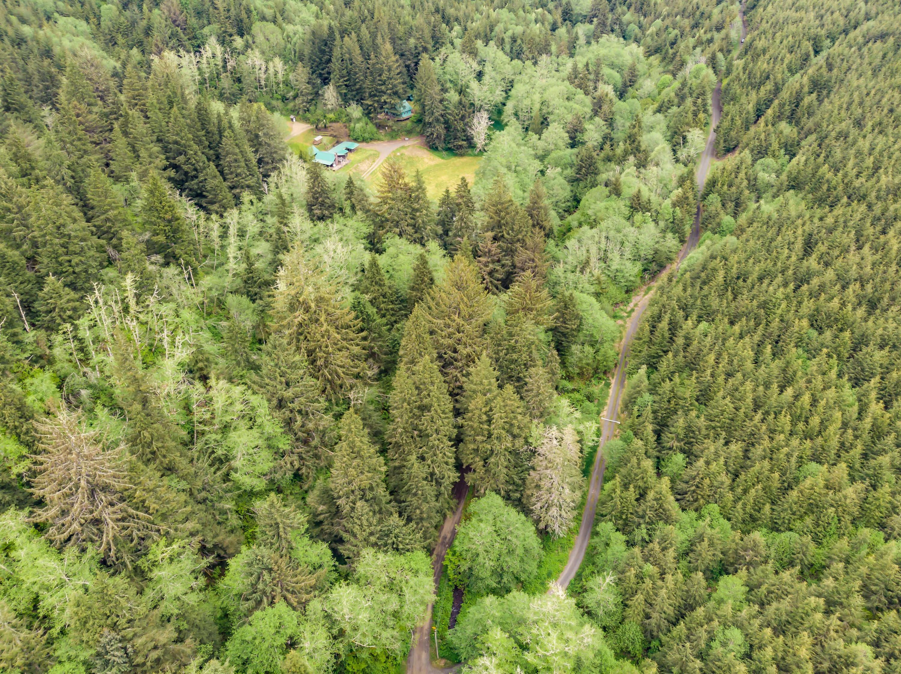 1135 North Widow Creek Road Otis, OR 97368 - Photo 64 of 66 IMG_1354