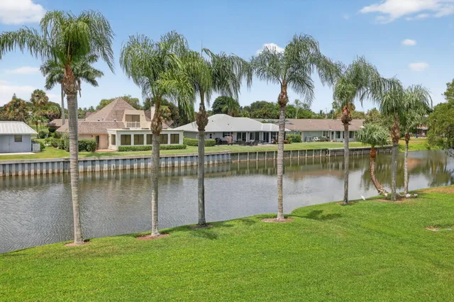 a view of a house with a yard and a palm tree