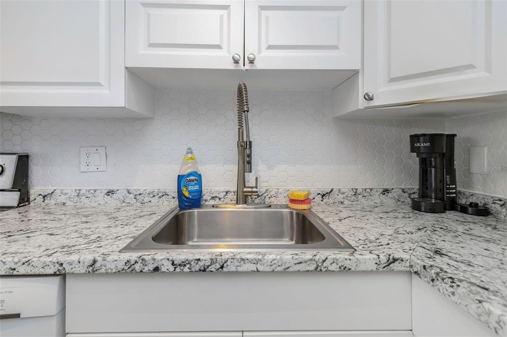 1900 68th Street North, Unit 110 St. Petersburg, FL 33710 - Photo 18 of 48 a close view of sink and tap