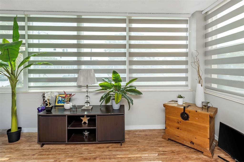 1900 68th Street North, Unit 110 St. Petersburg, FL 33710 - Photo 40 of 48 a living room with furniture and a potted plant
