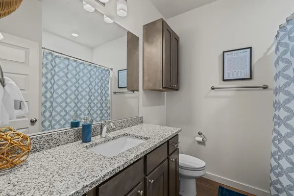 a bathroom with a granite countertop sink a toilet and a shower