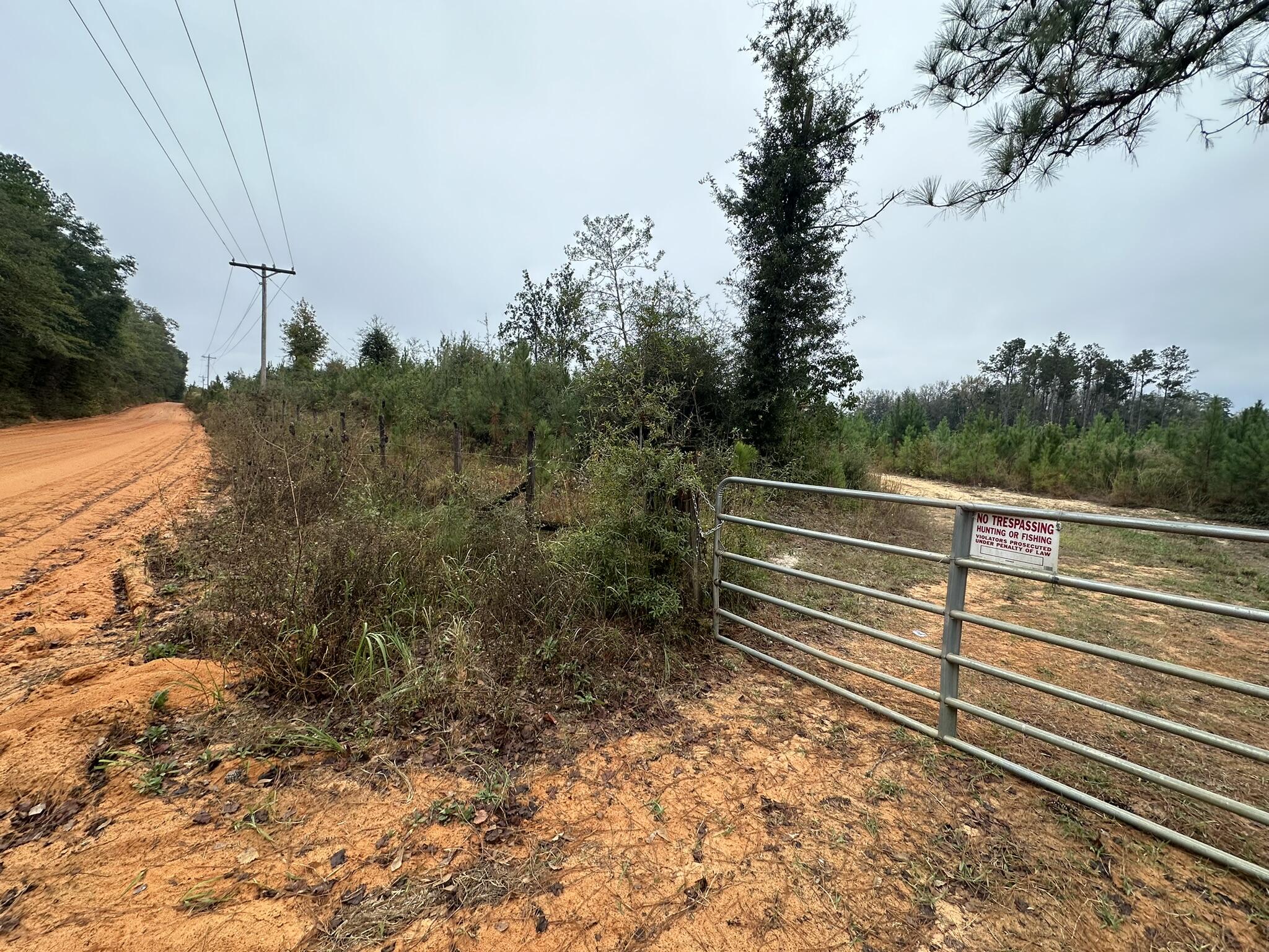 B & D Millside Road Laurel Hill, FL 32567 - Photo 17 of 18 a view of outdoor space and yard