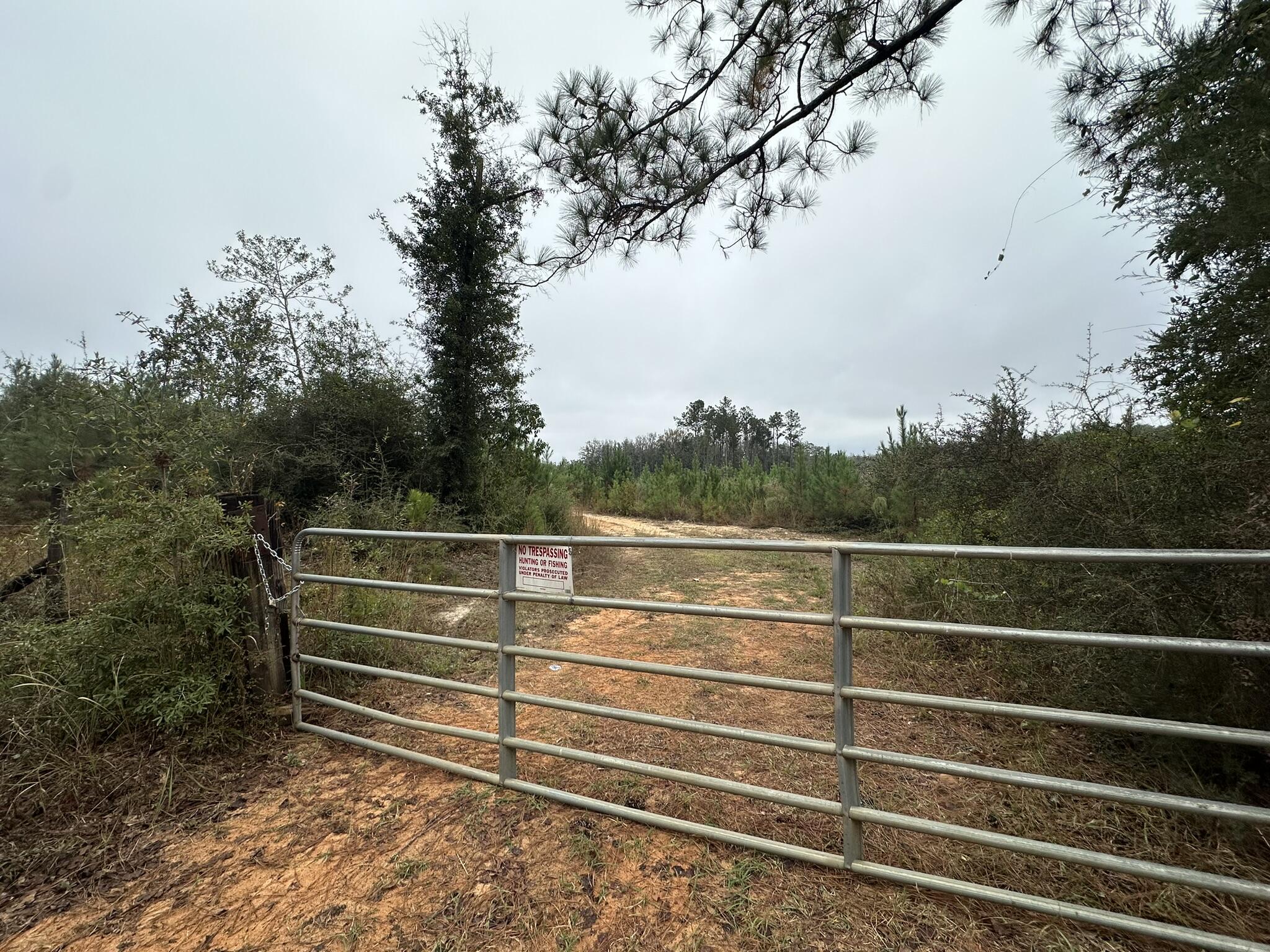 B & D Millside Road Laurel Hill, FL 32567 - Photo 5 of 18 a view of outdoor space with deck and trees