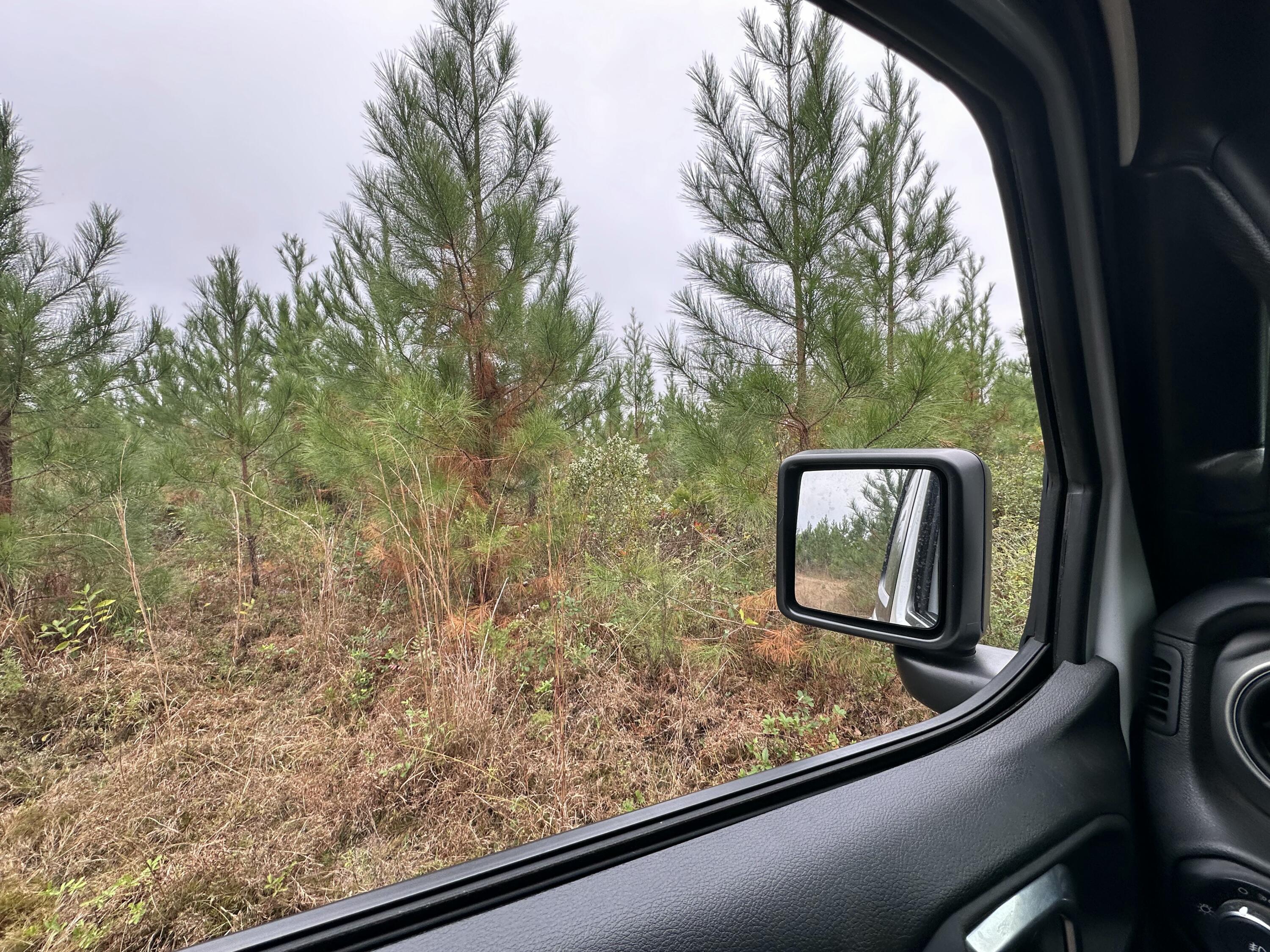 B & D Millside Road Laurel Hill, FL 32567 - Photo 6 of 18 a view of a window with tree in it