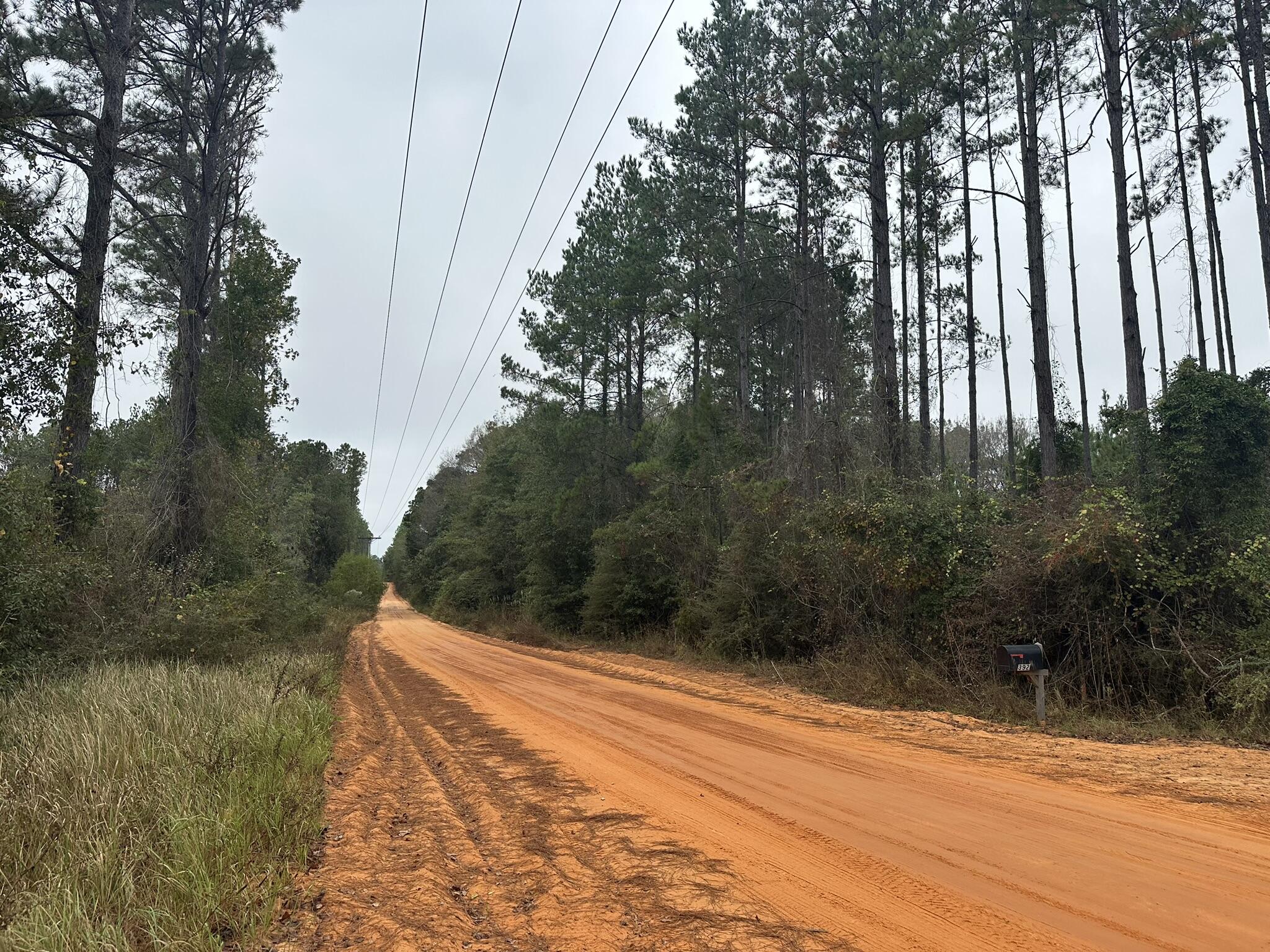 B & D Millside Road Laurel Hill, FL 32567 - Photo 7 of 18 a view of backyard with green space