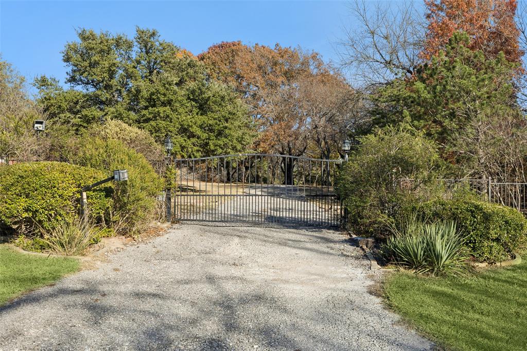 3580 Orr Road Fairview, TX 75002 - Photo 39 of 40 a view of backyard with trees