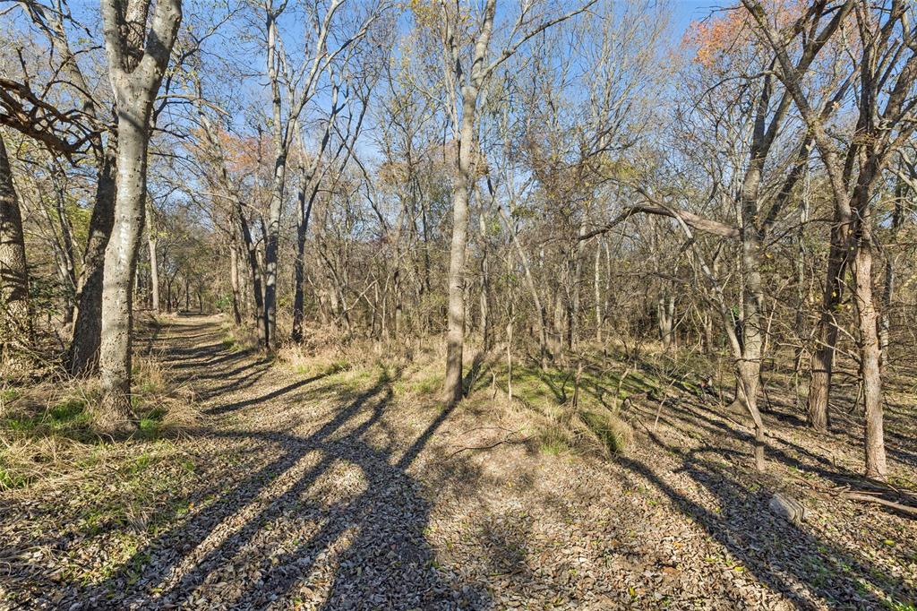 3580 Orr Road Fairview, TX 75002 - Photo 40 of 40 a view of a yard