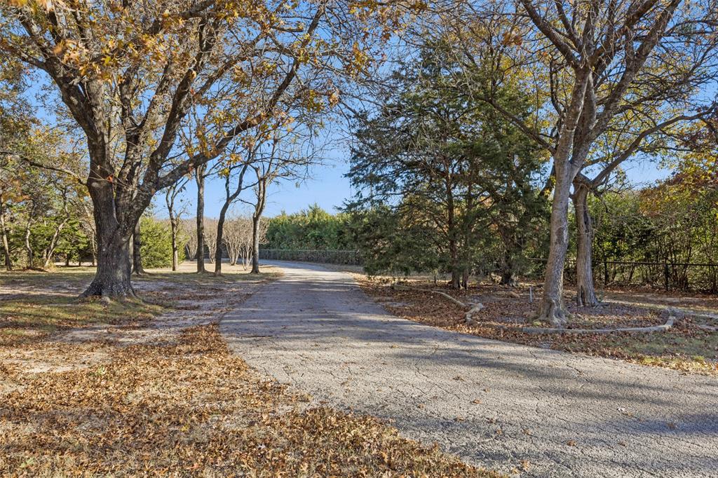 3580 Orr Road Fairview, TX 75002 - Photo 4 of 40 a view of a yard with plants and trees