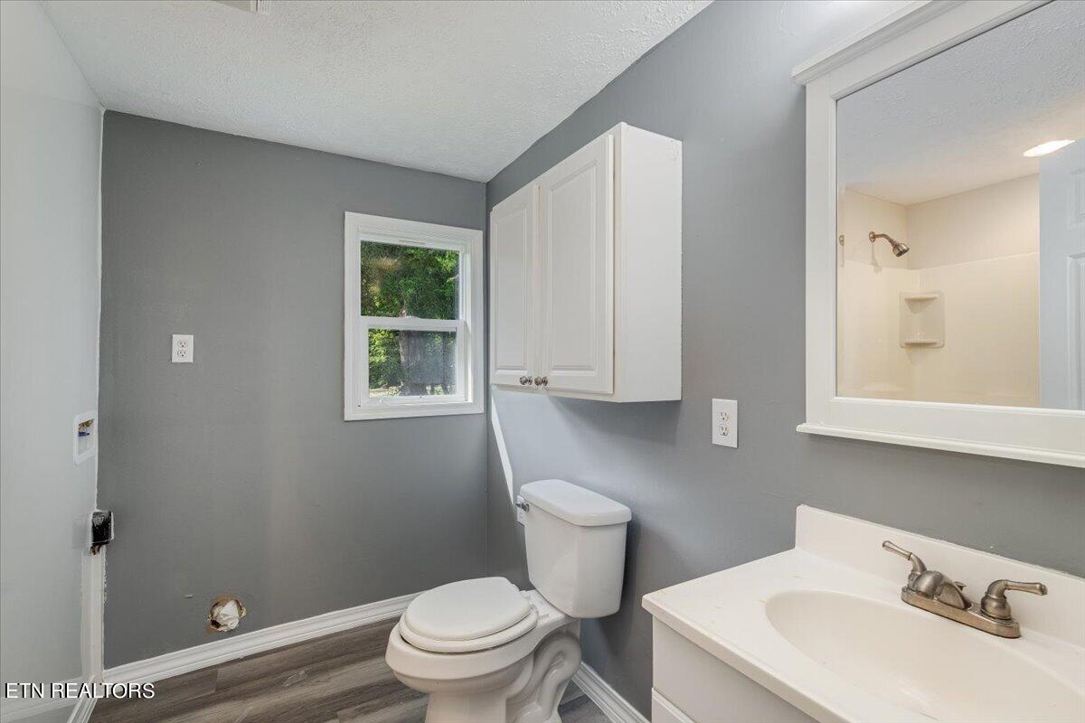 211 Clear Branch Road Rocky Top, TN 37769 - Photo 18 of 35 19-Bathroom