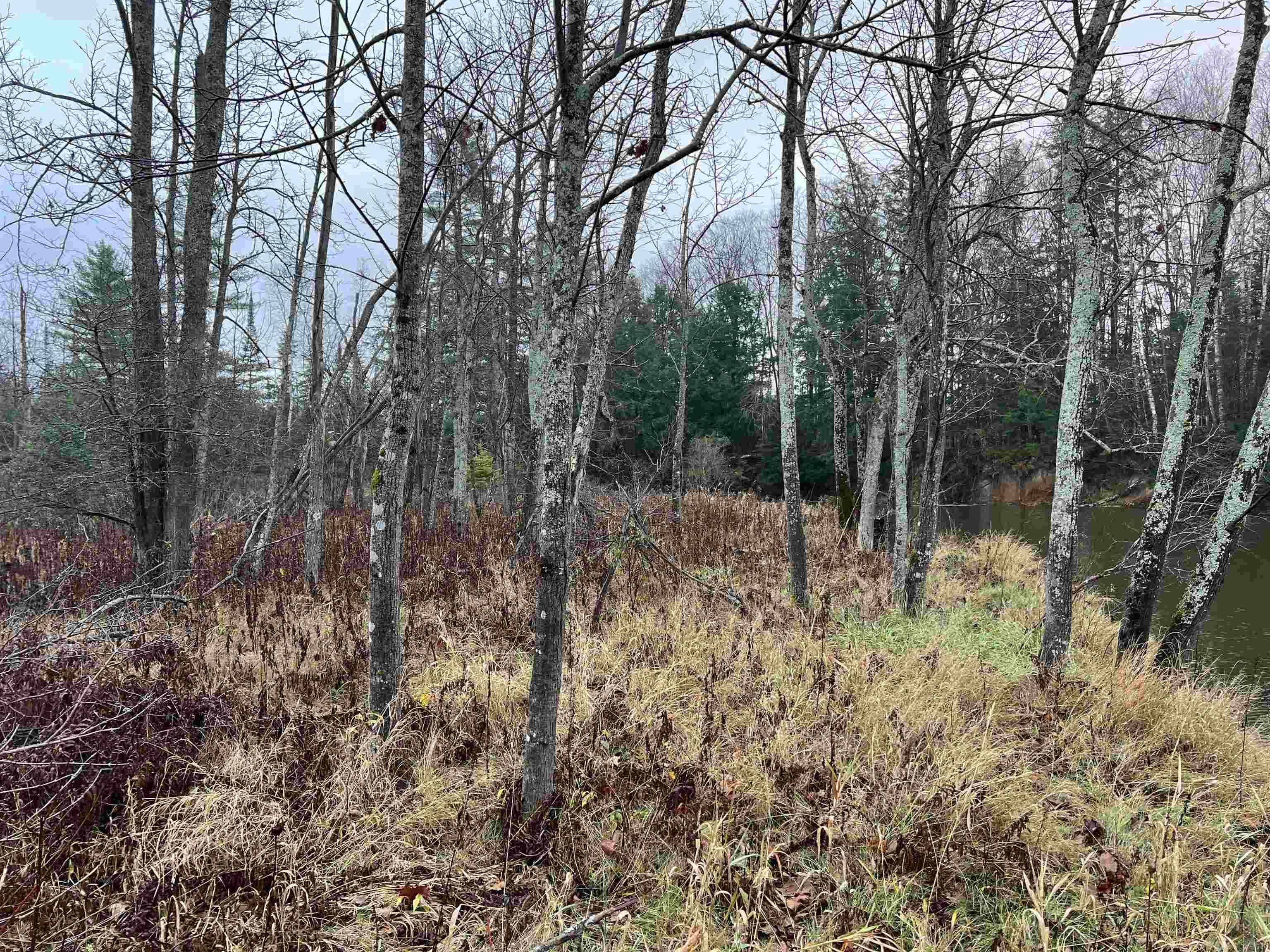 Long Rapids Road Alpena, MI 49707 - Photo 32 of 47 Gallery Image 32