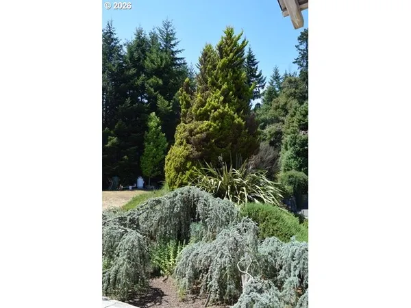 a picture of a bench in a garden