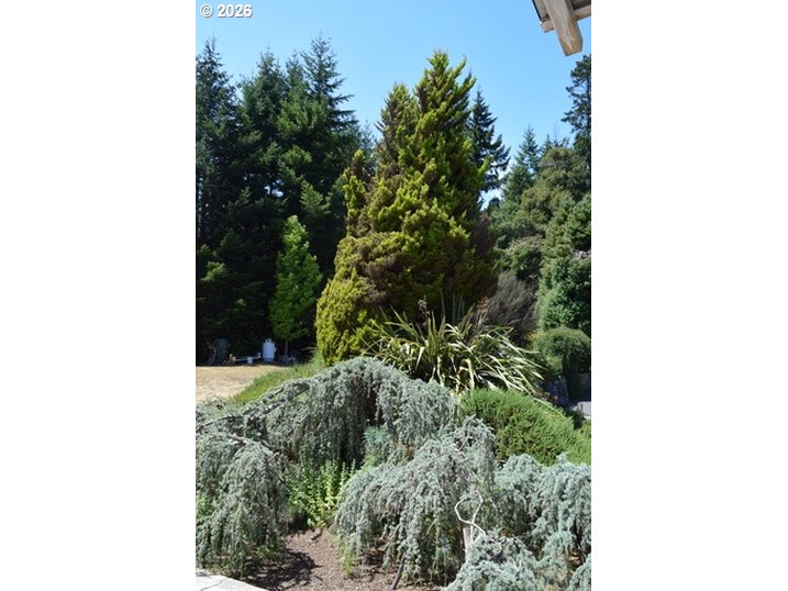 97137 North Bank Rogue River Road Gold Beach, OR 97444 - Photo 13 of 40 a picture of a bench in a garden