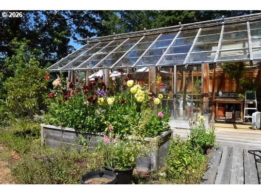 a view of a yard with plants
