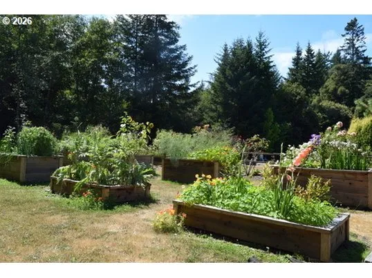 a view of a garden with a bench