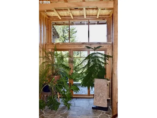 a view of a potted plants in front of a glass door