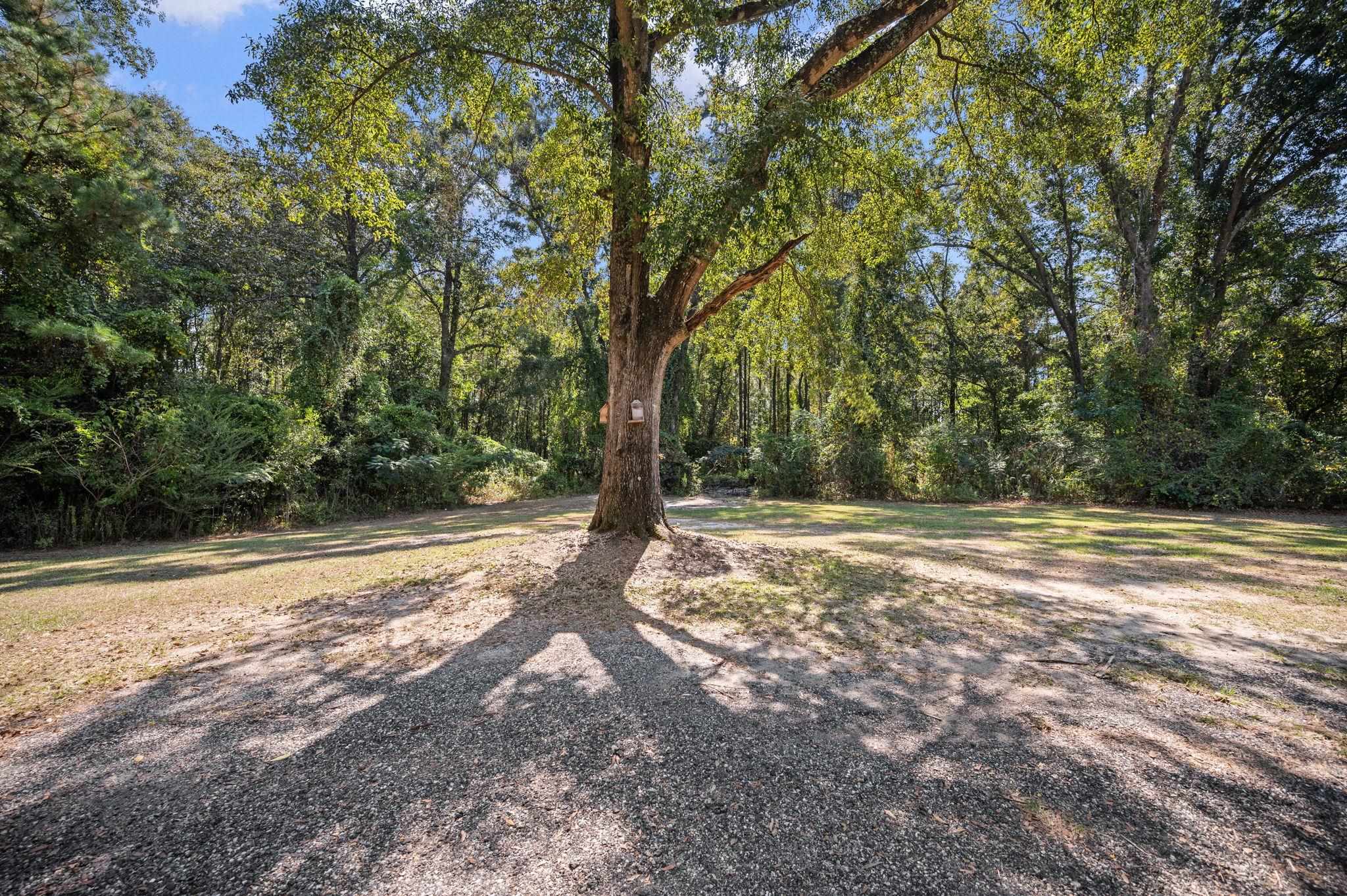 56081 Boatwright Lane Perdido, AL 36562 - Photo 38 of 48