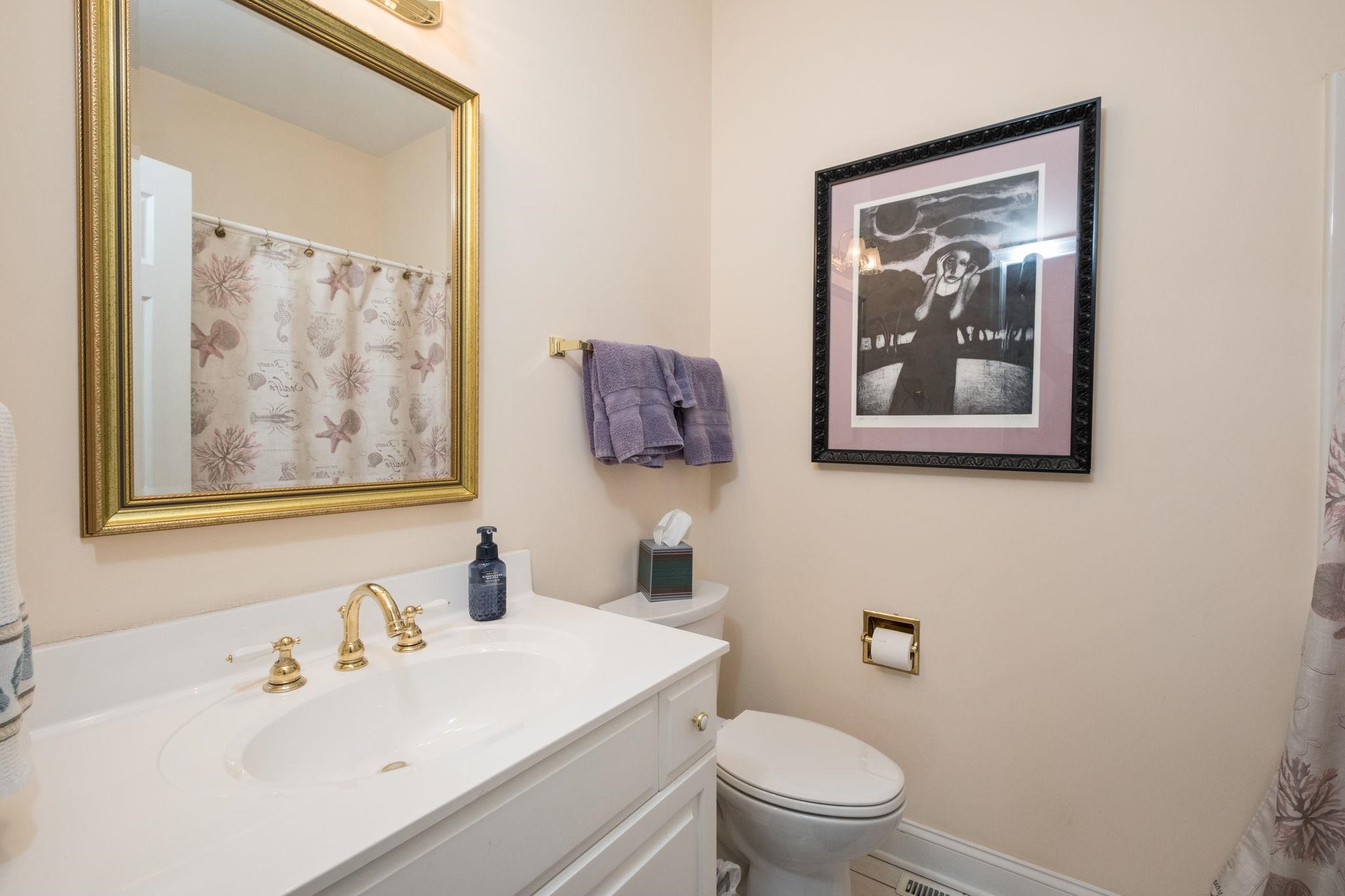 35 Buckingham Common Waynesboro, VA 22980 - Photo 22 of 33 a bathroom with a toilet a sink and a mirror