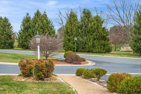 a view of a garden with plants and large trees