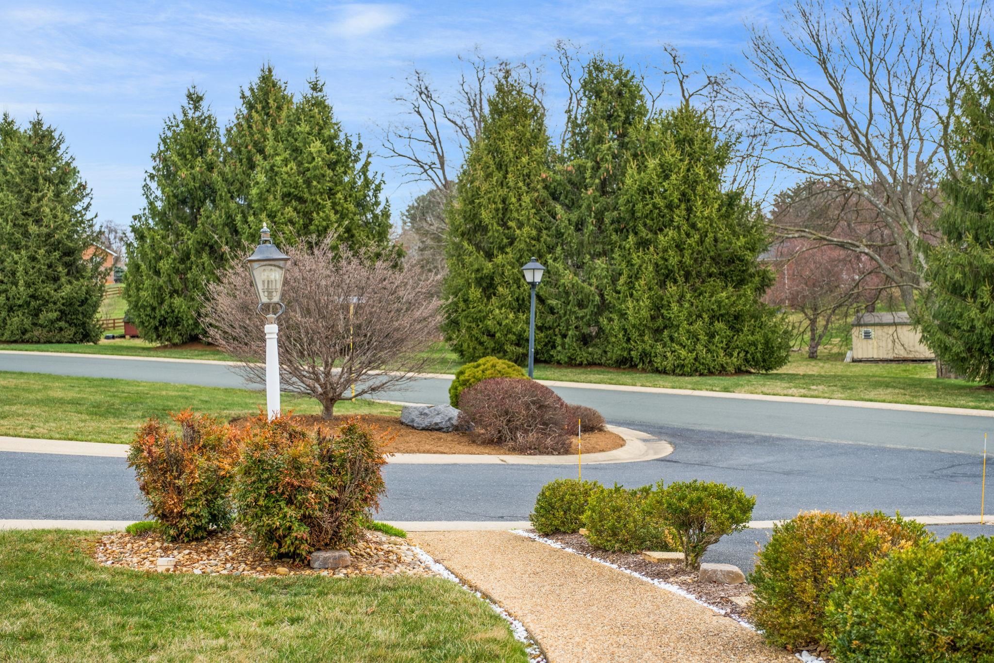 35 Buckingham Common Waynesboro, VA 22980 - Photo 31 of 33 a view of a garden with plants and large trees