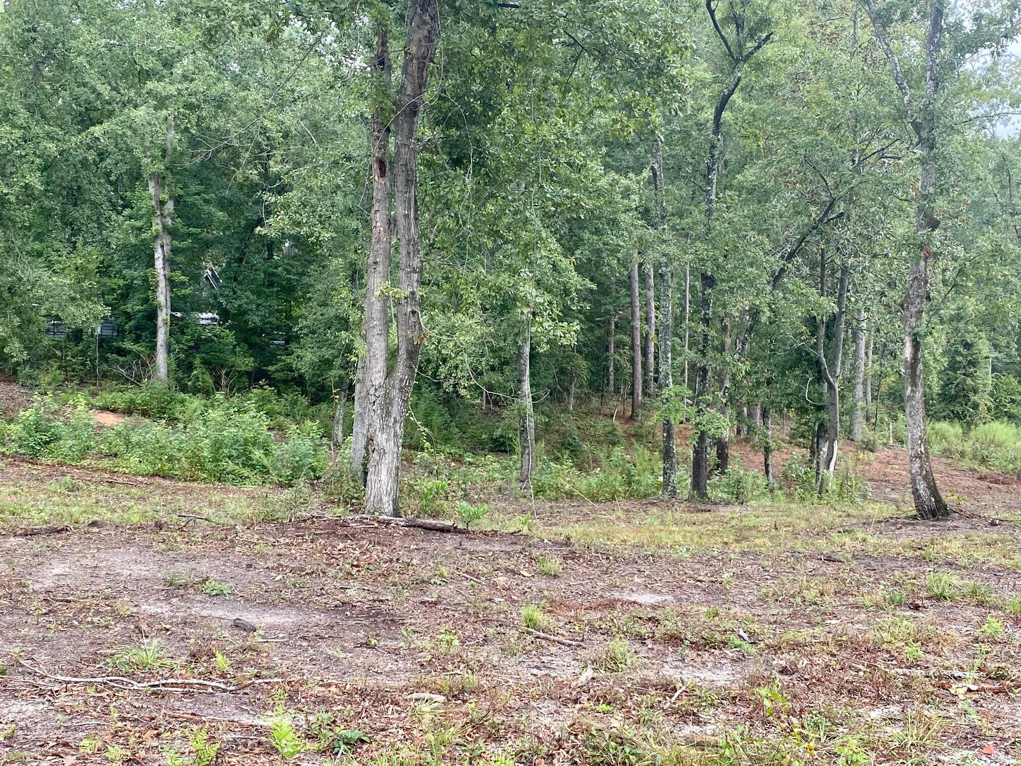 164 Snipes Road Aiken, SC 29801 - Photo 2 of 8