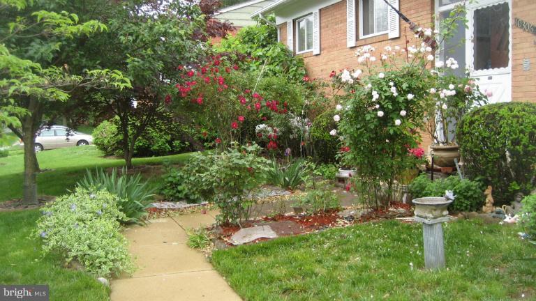 10306 Royal Road Silver Spring, MD 20903 - Photo 27 of 28 front garden