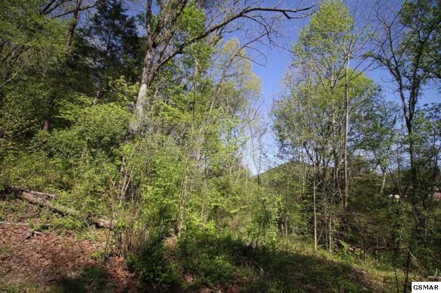 0 Sandy Point Lane Sevierville, TN 37876 - Photo 3 of 6 Gallery Image 3