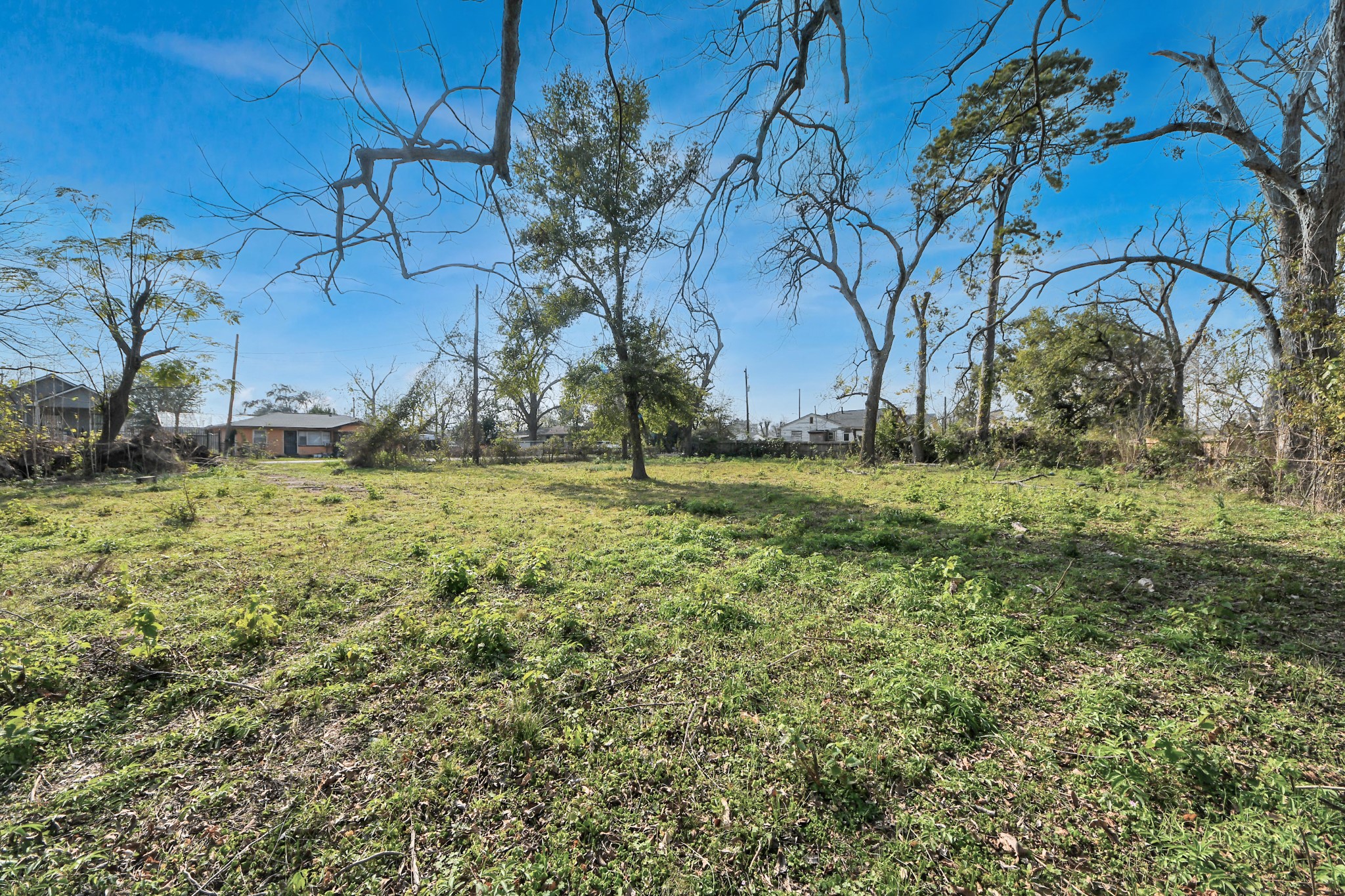 2609 Eva Street Houston, TX 77093 - Photo 11 of 22 a view of outdoor space with trees all around