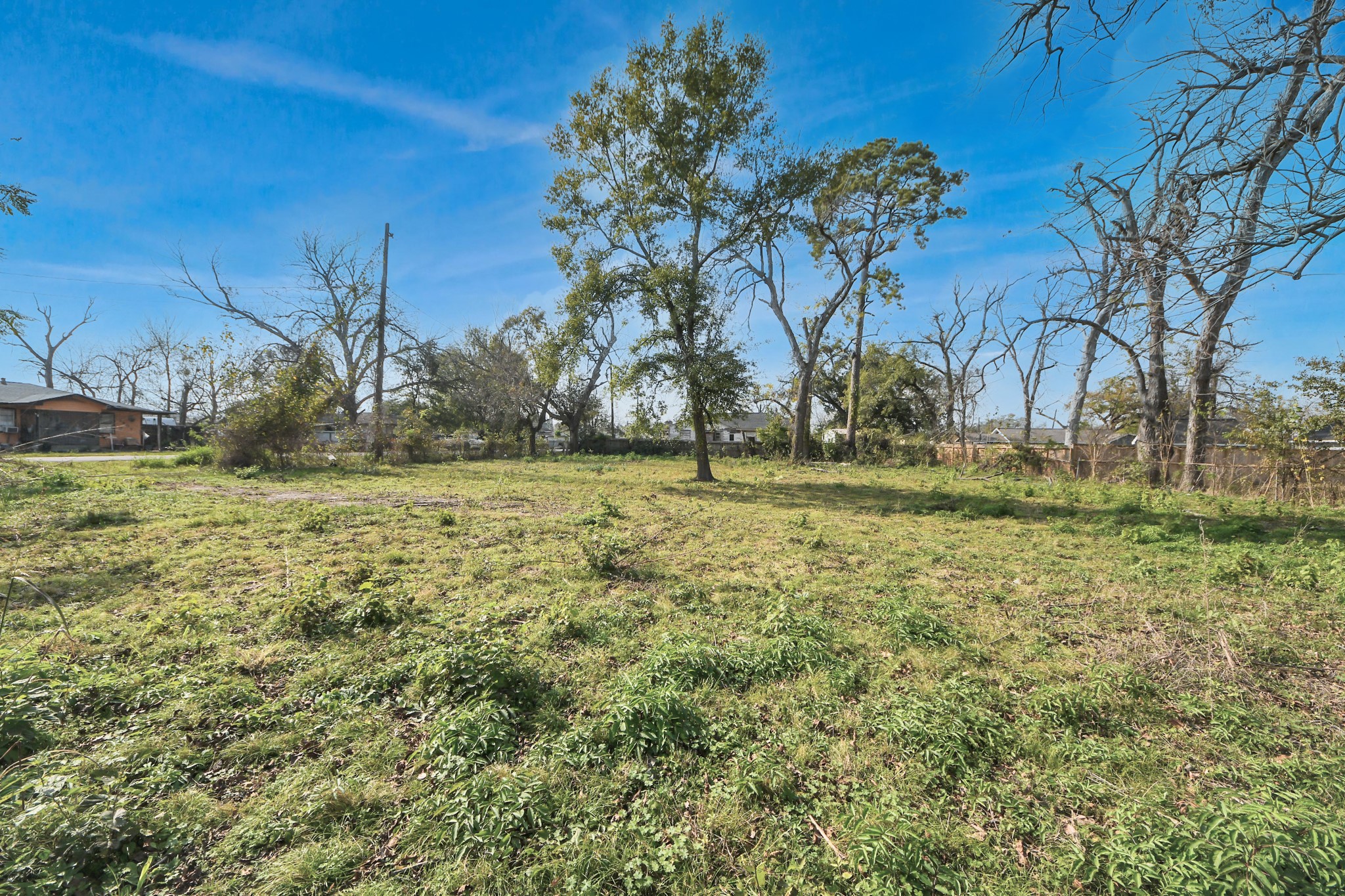 2609 Eva Street Houston, TX 77093 - Photo 12 of 22 a view of a field with trees