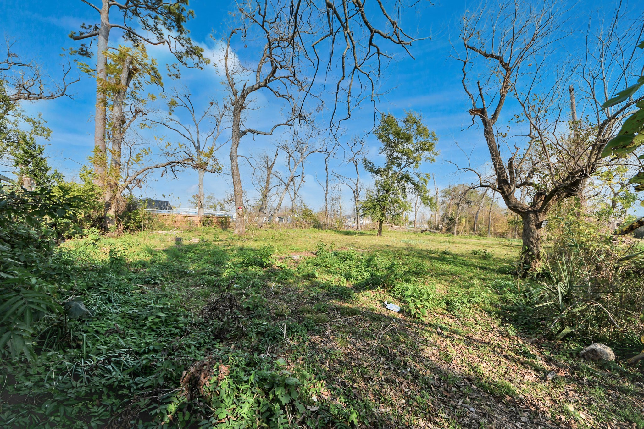 2609 Eva Street Houston, TX 77093 - Photo 8 of 22 a view of garden