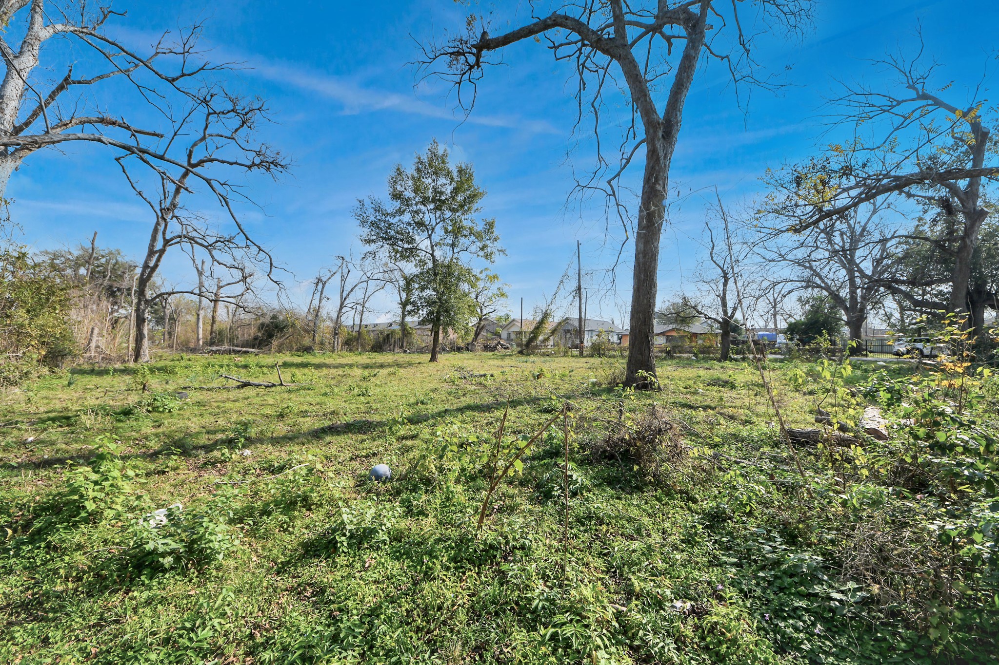 2609 Eva Street Houston, TX 77093 - Photo 9 of 22 a view of backyard with green space