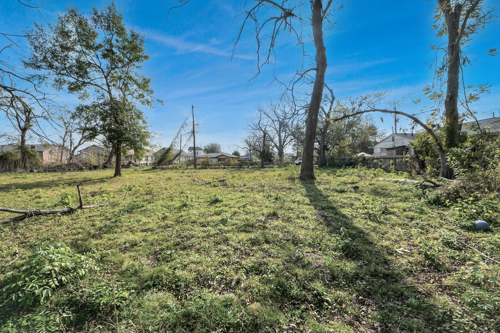 2609 Eva Street Houston, TX 77093 - Photo 10 of 22 a backyard of a house with lots of green space