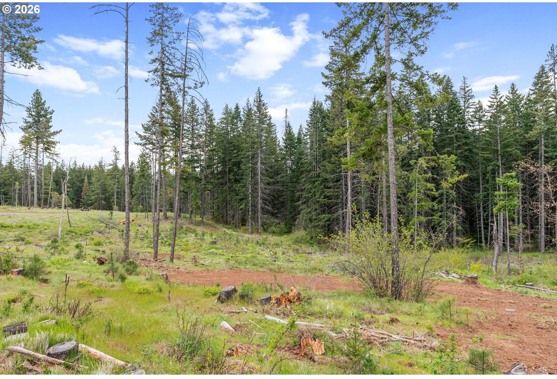 16 Snag Road Lyle, WA 98635 - Photo 43 of 43 Gallery Image 43