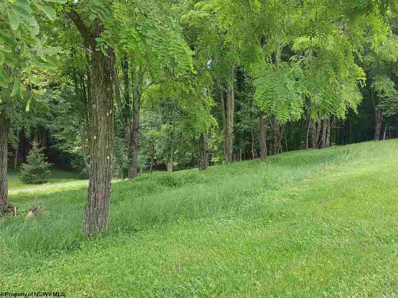 Lot 12 Ridgeview Buckhannon, WV 26201 - Photo 6 of 7 Gallery Image 6