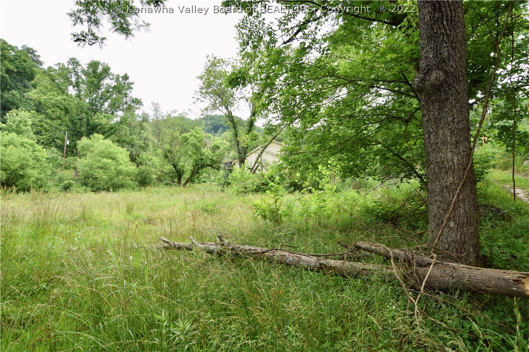 0 Whitepine Road Spencer, WV 25276 - Photo 4 of 4 Gallery Image 4