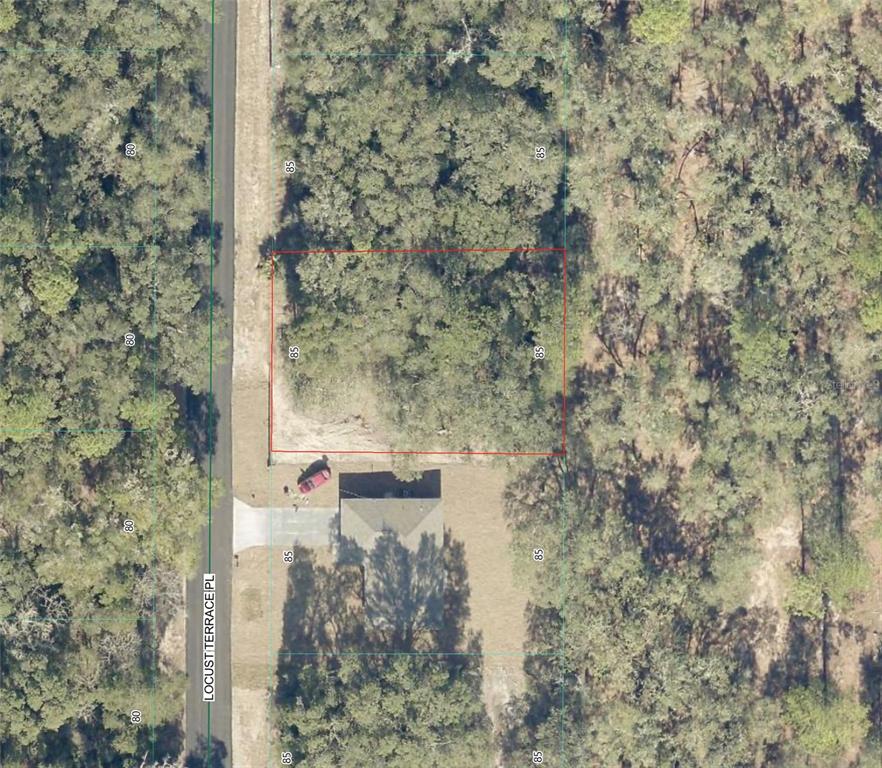Tbd Locust Terrace Place Ocala, FL 34472 - Photo 1 of 4