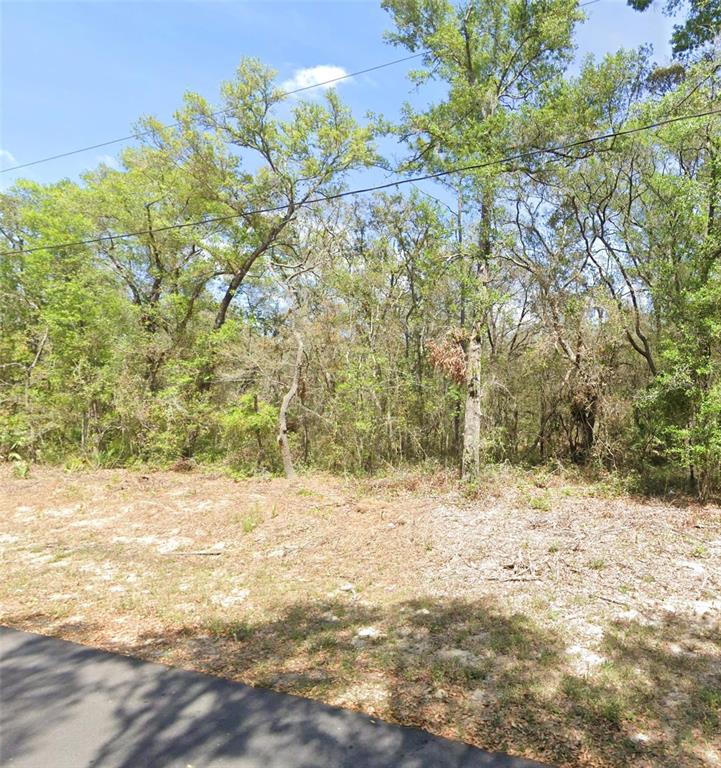 Tbd Locust Terrace Place Ocala, FL 34472 - Photo 3 of 4