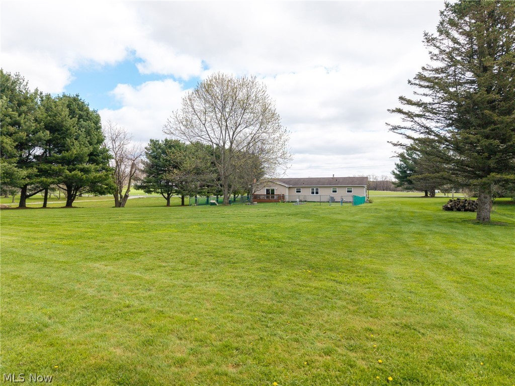 9810 Daniels Road Seville, OH 44273 - Photo 4 of 36
