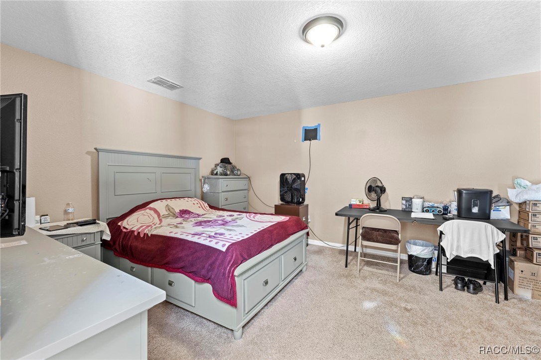 7319 Lagoon Road Spring Hill, FL 34606 - Photo 11 of 60