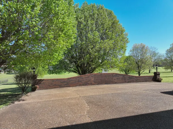 a view of a big yard with large trees