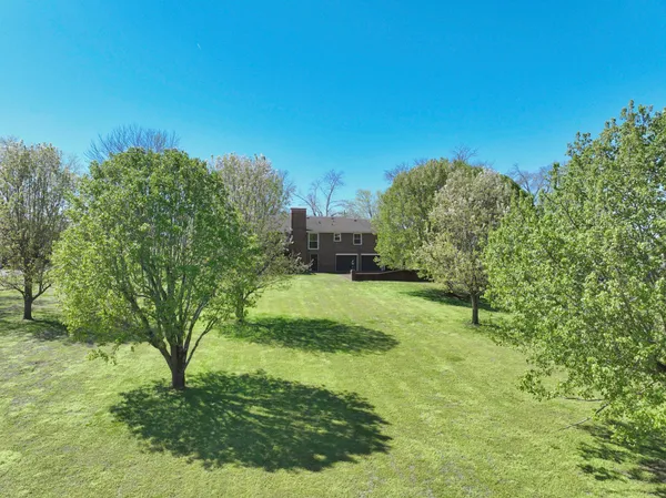 a view of a backyard