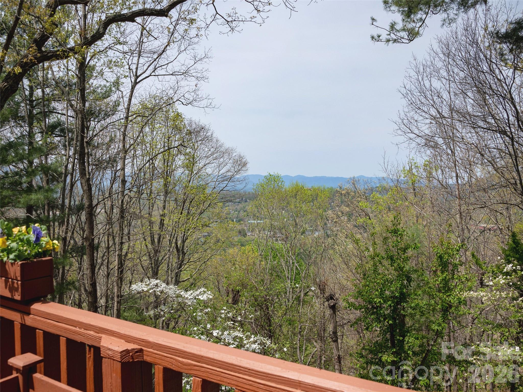 403 Cherokee Road Asheville, NC 28804 - Photo 7 of 33