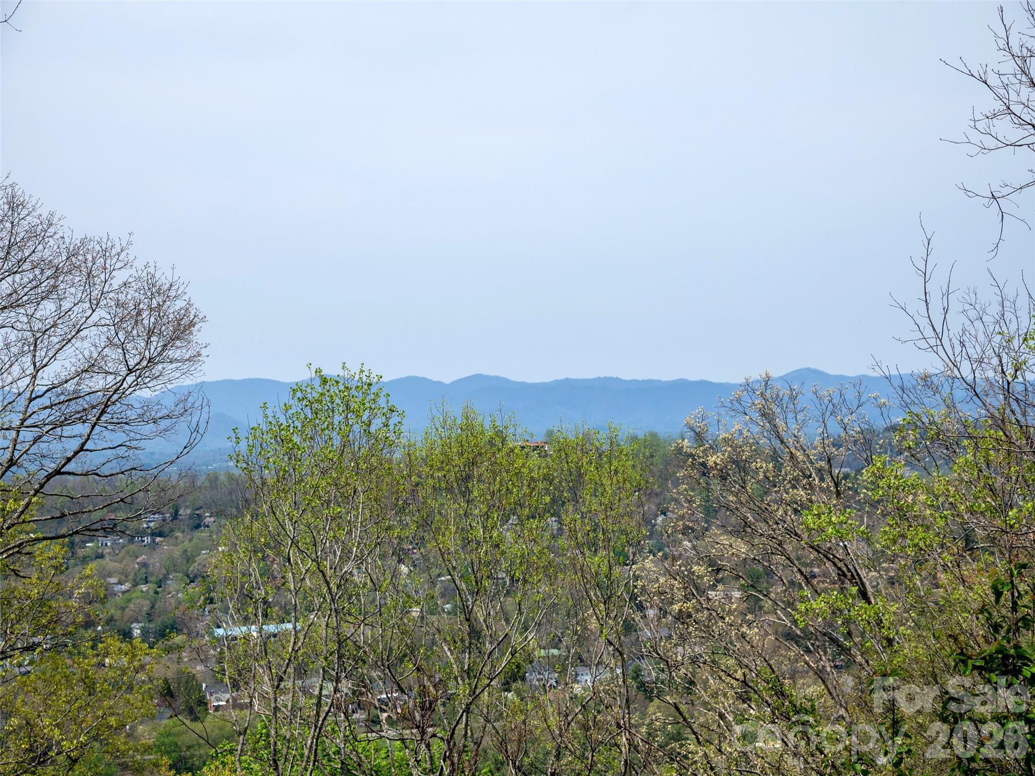 403 Cherokee Road Asheville, NC 28804 - Photo 8 of 33